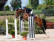 DI PALO BOLERO CampITA2013- S5 0756 : BOLERO VAN'T STENENPOORT, Campionati Italiani 2013, Cattolica, DI PALO ANIELLO, Horse Riviera Resort, foto di Stefano Secchi ©